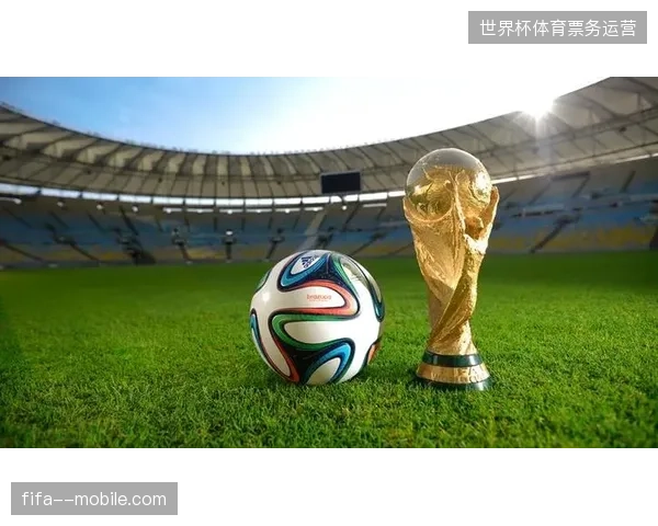 世界杯版权C2M定制服务介入后，FIFA媒体分销协议执行效率提升的关键逻辑