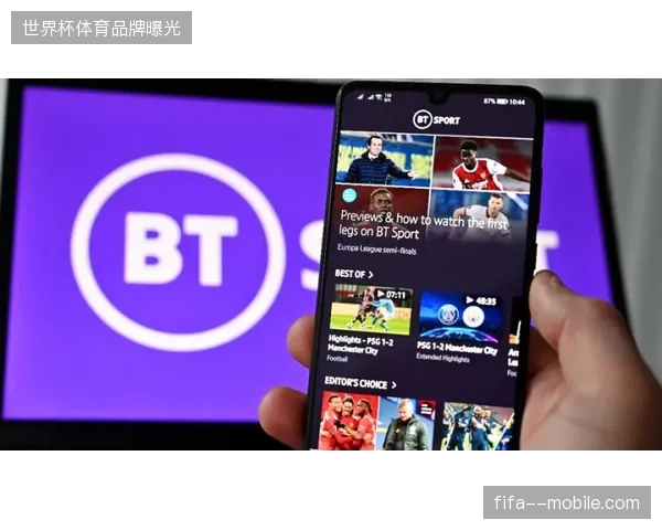 体育赛事版权持有者为何难以通过简单的视觉增值实现收支平衡？